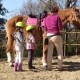 ippoterapia in toscana per bambini disabili